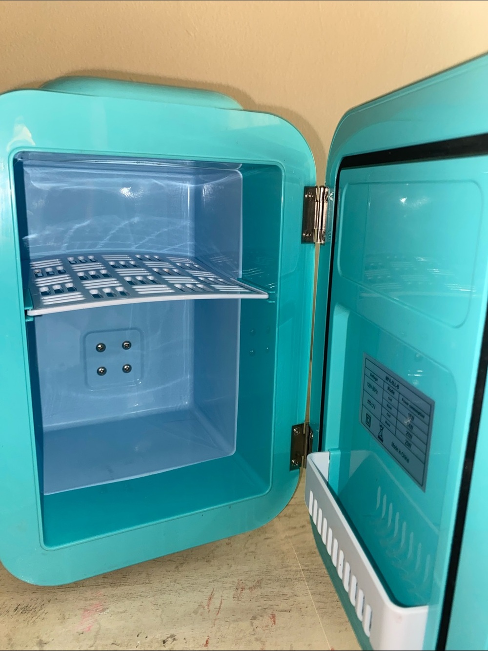 Caynel Gently Used Thermoelectric Cooler, for snacks, skincare 4 liter capacity